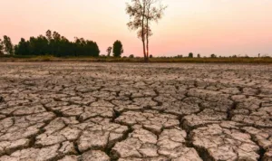 el-nino-recorde-pode-alterar-clima-de-inverno-nos-estados-unidos