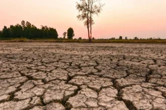 el-nino-recorde-pode-alterar-clima-de-inverno-nos-estados-unidos