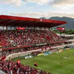 miniestadio-do-flamengo-sera-menor-que-o-oba,-serrinha-e-accioly