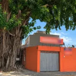 prefeitura-usara-dois-guindastes-para-remover-gameleira-no-setor-campinas,-em-goiania