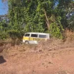 kombi-com-seis-criancas-bate-em-arvore-apos-motorista-passar-mal,-em-varjao