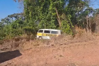 kombi-com-seis-criancas-bate-em-arvore-apos-motorista-passar-mal,-em-varjao