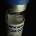 cristalia-inicia-testes-clinicos-com-polilaminina-em-humanos