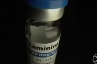 cristalia-inicia-testes-clinicos-com-polilaminina-em-humanos