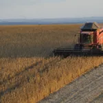 goias-antecipa-plantio-da-soja-diante-de-alerta-para-el-nino