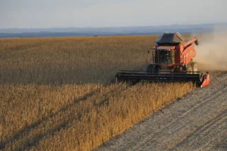 goias-antecipa-plantio-da-soja-diante-de-alerta-para-el-nino