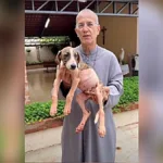 “cuidar-dos-animais-como-sao-francisco-nos-ensinou”:-padre-luiz-augusto-rebate-criticas-apos-polemica-com-cachorro