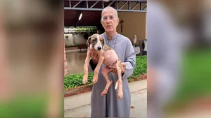 “cuidar-dos-animais-como-sao-francisco-nos-ensinou”:-padre-luiz-augusto-rebate-criticas-apos-polemica-com-cachorro