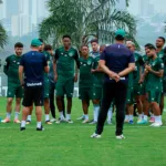 problemas-para-mozart:-goias-perde-volante-titular-e-tem-mais-baixas-contra-o-avai