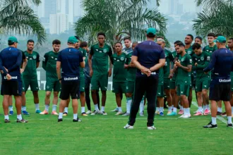 problemas-para-mozart:-goias-perde-volante-titular-e-tem-mais-baixas-contra-o-avai