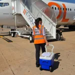 doador-mais-jovem-de-goias:-rim-de-bebe-de-29-dias-e-transportado-por-aviao-comercial-em-goiania