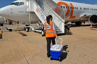 doador-mais-jovem-de-goias:-rim-de-bebe-de-29-dias-e-transportado-por-aviao-comercial-em-goiania