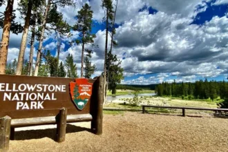 equipes-em-yellowstone-retiram-volume-recorde-de-lixo-em-fontes