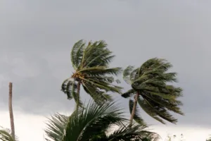 alerta-no-rs:-tempestades-podem-trazer-rajadas-de-vento-de-ate-100-km/h
