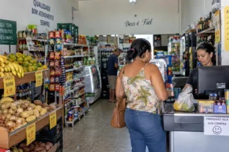 quase-2-em-cada-3-estabelecimentos-supermercadistas-em-goias-sao-minimercados-e-mercearias