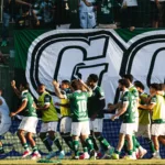 de-virada,-goias-vence-o-avai-na-serrinha-e-diminui-distancia-para-o-g-6