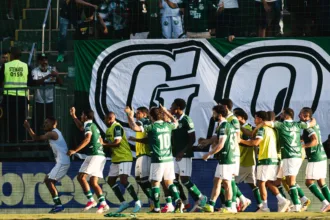de-virada,-goias-vence-o-avai-na-serrinha-e-diminui-distancia-para-o-g-6