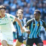 com-tropeco-do-palmeiras,-flamengo-pode-disparar-na-lideranca-do-brasileirao
