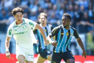 com-tropeco-do-palmeiras,-flamengo-pode-disparar-na-lideranca-do-brasileirao