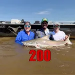 pousada-bate-meta-de-200-piraibas-capturadas-no-araguaia-e-mira-1-mil-em-2027