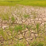 el-nino-traz-calor-acima-de-40-°c-e-temporais-no-sul-do-brasil