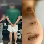‘duvido-que-voce-tem-coragem’:-jovens-que-jogaram-bomba-em-bar-de-goiania-pagam-fianca-e-sao-soltos
