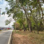 associacao-de-amigos-do-aldeia-do-vale-tem-plano-para-recuperar-area-de-500-mil-m²-em-goiania;-veja-detalhes