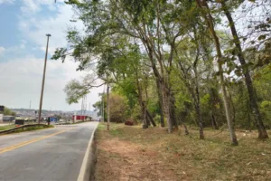 associacao-de-amigos-do-aldeia-do-vale-tem-plano-para-recuperar-area-de-500-mil-m²-em-goiania;-veja-detalhes