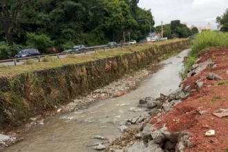 estudo-revela-quais-cidades-de-goias-estao-sob-risco-de-desastres-naturais;-veja-a-lista