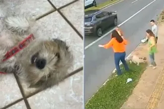 moradores-resgatam-cachorro-jogado-em-bueiro-pelo-proprio-tutor-em-goiania