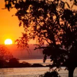 clima:-calor-e-tempo-firme-marcam-a-6a-em-parte-do-pais;-norte-tem-chuvas