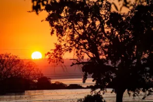 clima:-calor-e-tempo-firme-marcam-a-6a-em-parte-do-pais;-norte-tem-chuvas