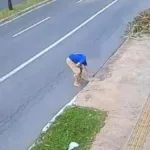 justica-solta-idoso-gravado-jogando-cachorra-em-bueiro-de-goiania