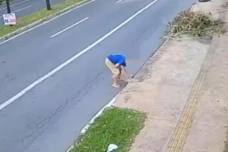 justica-solta-idoso-gravado-jogando-cachorra-em-bueiro-de-goiania