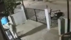 idosa-de-91-anos-morre-apos-ataque-de-macaco;-assista-ao-video