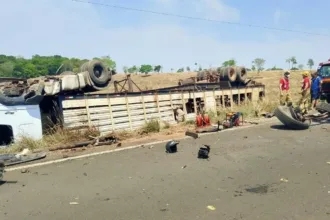 colisao-entre-caminhao-e-carro-deixa-uma-pessoa-ferida-e-quatro-bovinos-mortos-em-porangatu