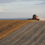 argentina-pode-ter-segunda-maior-receita-agricola-da-historia-em-2027,-aponta-bolsa