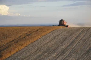 argentina-pode-ter-segunda-maior-receita-agricola-da-historia-em-2027,-aponta-bolsa