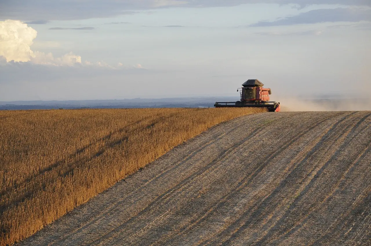 Argentina pode ter segunda maior receita agrícola da história em 2027, aponta Bolsa