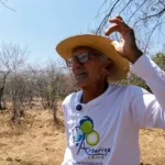 “profeta-da-chuva”:-conheca-o-sertanejo-que-usa-plantas-e-animais-para-prever-chuvas