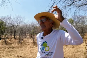 “profeta-da-chuva”:-conheca-o-sertanejo-que-usa-plantas-e-animais-para-prever-chuvas