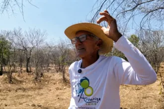 “profeta-da-chuva”:-conheca-o-sertanejo-que-usa-plantas-e-animais-para-prever-chuvas