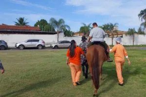 cavalos-visitam-pacientes-e-viram-aliados-na-recuperacao-em-hospital-de-aparecida