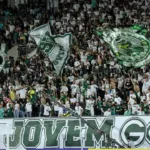 para-evitar-punicao-no-stjd,-goias-pune-28-torcedores-que-jogaram-copos-no-gramado-da-serrinha