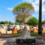 policia-encontra-cranio-humano-em-altar-na-casa-de-suspeito-de-homicidio-em-cemiterio-de-goiania