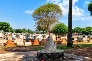 policia-encontra-cranio-humano-em-altar-na-casa-de-suspeito-de-homicidio-em-cemiterio-de-goiania