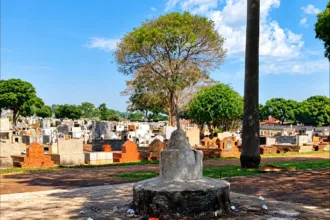 policia-encontra-cranio-humano-em-altar-na-casa-de-suspeito-de-homicidio-em-cemiterio-de-goiania
