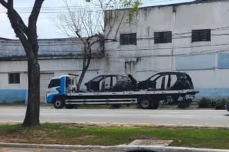esquema-desvia-54-carros-zero-km-de-montadora-em-anapolis-e-causa-prejuizo-de-r$-8,7-milhoes,-diz-mp