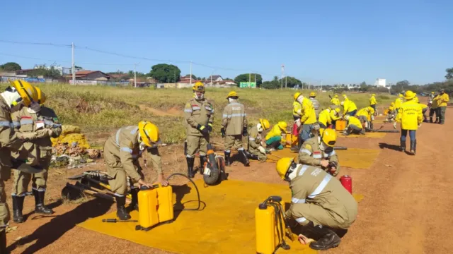 Brigadistas de Goiânia já combateram 11 incêndios em parques e áreas verdes da capital desde agosto