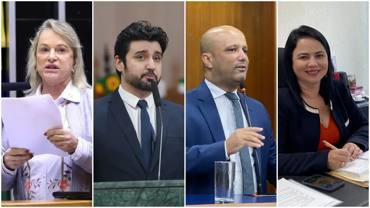 pl-tenta-repetir-resultado-de-2022-e-eleger-4-federais